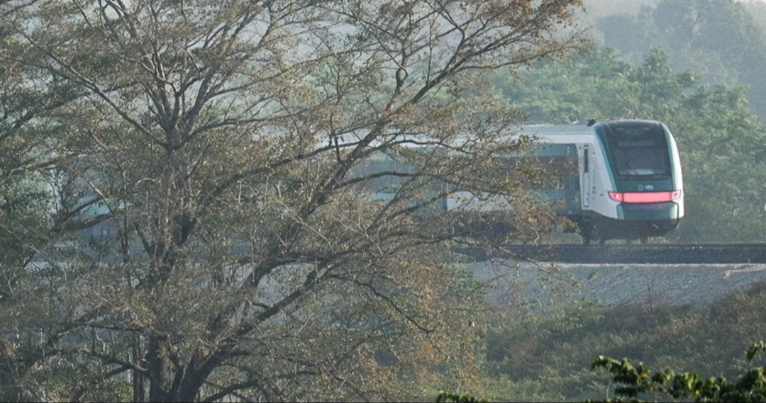 El Tren Maya recorrerá más de mil kilómetros El Tren Maya recorrerá más de mil kilómetros