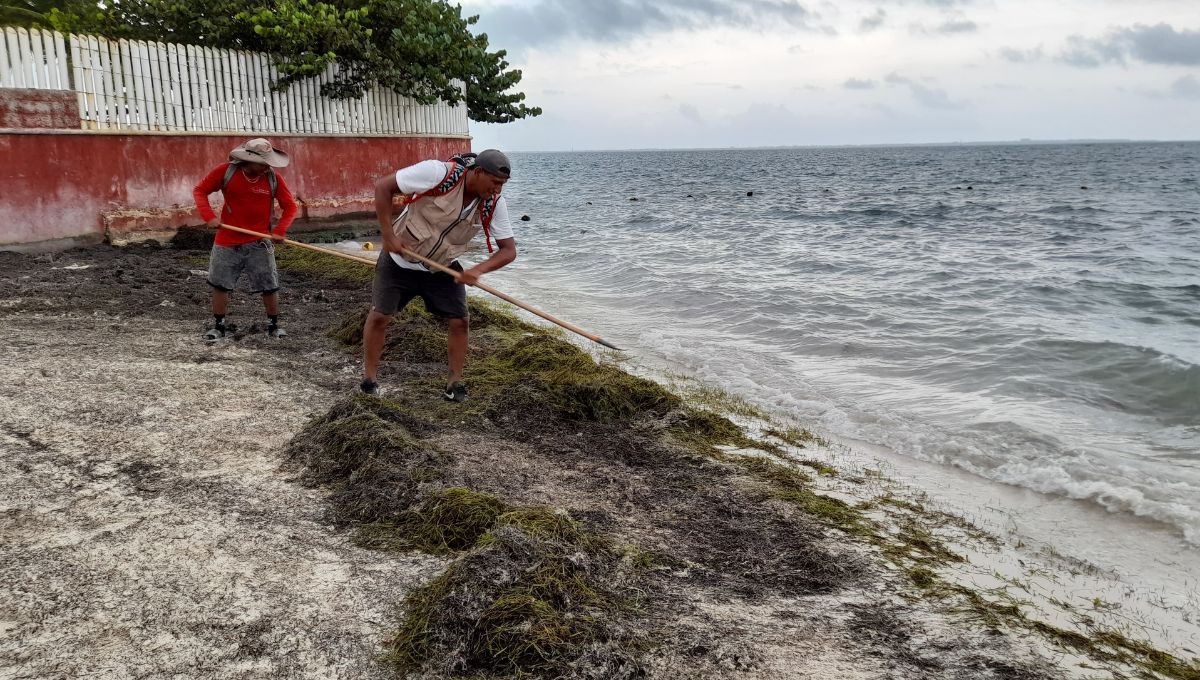 La fecha para obtener la certificación platino está próxima en Quintana Roo