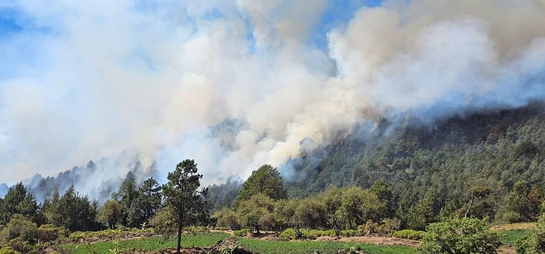 Incendios de Quintana Roo afectan vegetación de Campeche 