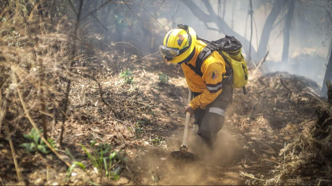 Acumula Entidad más de 53 mil puntos de calor Acumula Entidad más de 53 mil puntos de calor
