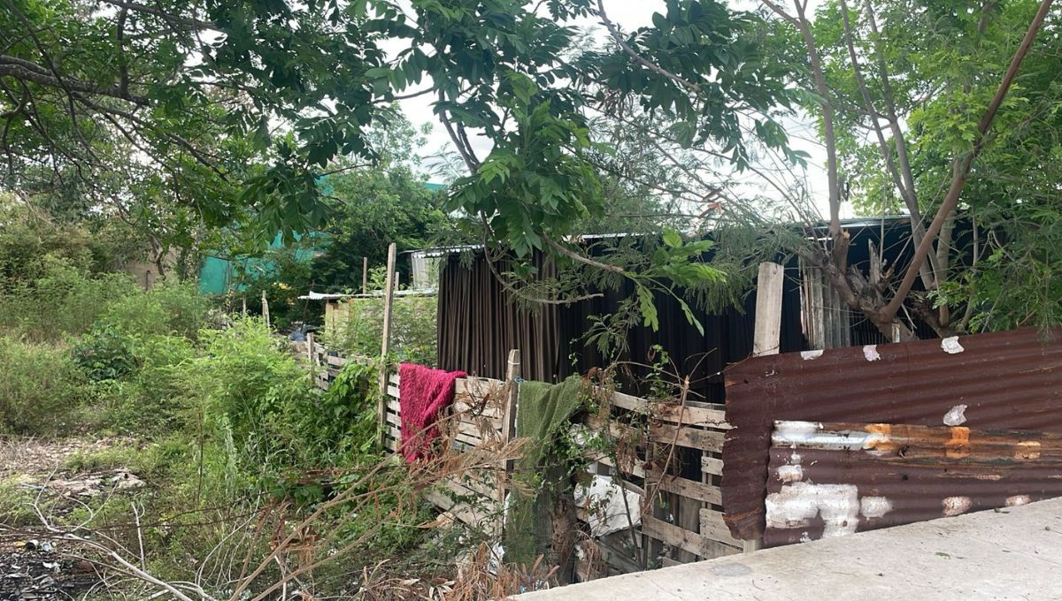 Habitantes del sur de Mérida solicitan ayuda para resguardar a niños y abuelitos de fuertes lluvias: VIDEO