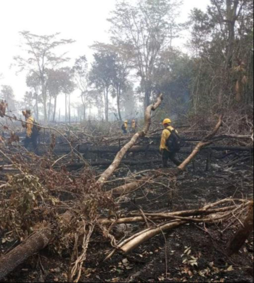 Luego de meses de combate contra incendios Semabicce reporta que todos han sido liquidados Luego de meses de combate contra incendios Semabicce reporta que todos han sido liquidados