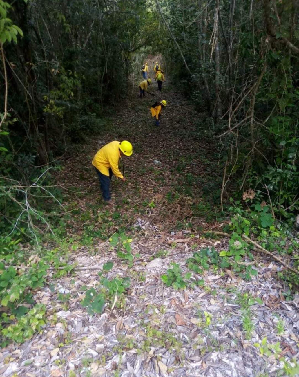 Se registro de 31 liquidados con más de 11 mil hectáreas afectadas Se registro de 31 liquidados con más de 11 mil hectáreas afectadas
