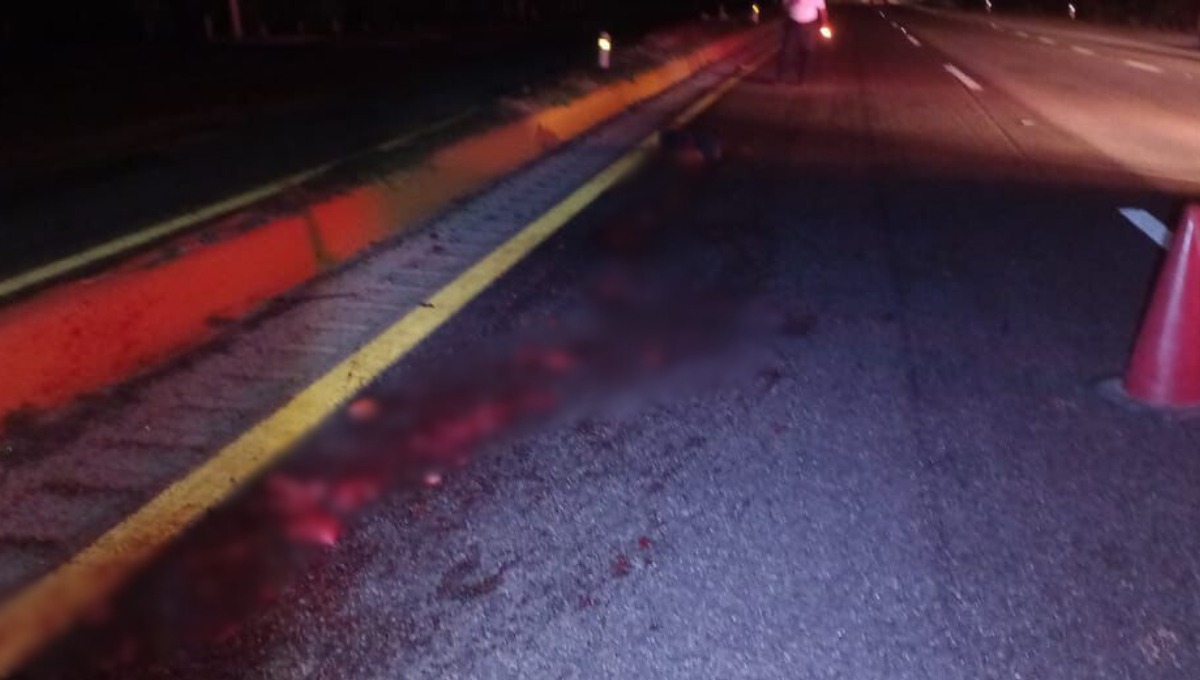 Fue impactado y arrastrado a varios metros quedando sus restos esparcidos Fue impactado y arrastrado a varios metros quedando sus restos esparcidos