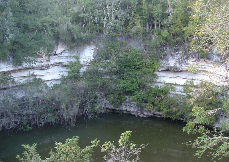 Los restos óseos fueron hallados a 300 metros del cenote Los restos óseos fueron hallados a 300 metros del cenote