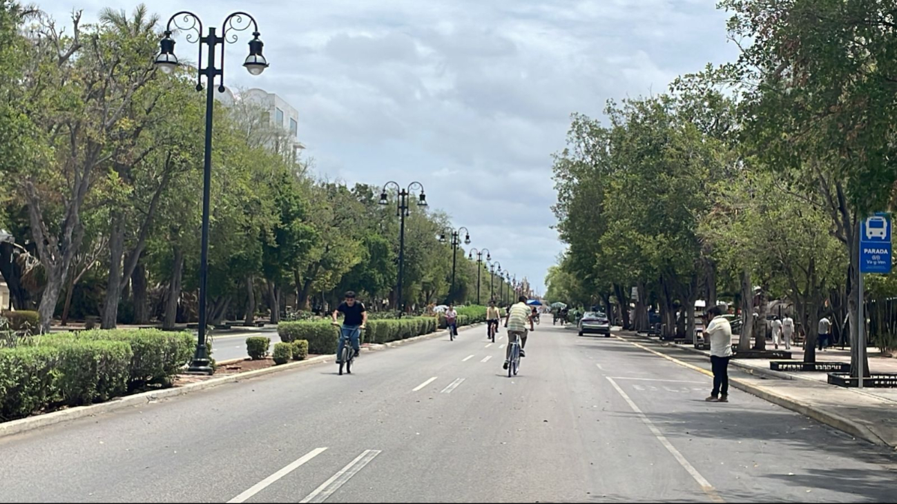 Tras las lluvias, Paseo de Montejo en Mérida revive con la tradicional Biciruta 