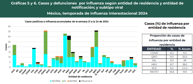 Esta es la gráfica actualizada de la influenza interestacional en México Esta es la gráfica actualizada de la influenza interestacional en México