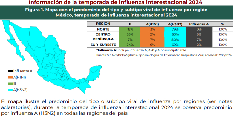 ¿Qué tipo de influenza predomina en Yucatán? ¿Qué tipo de influenza predomina en Yucatán?