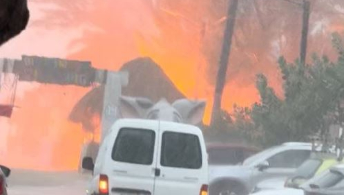 Se registra incendio en la playa de los cerditos de Progreso: VIDEO