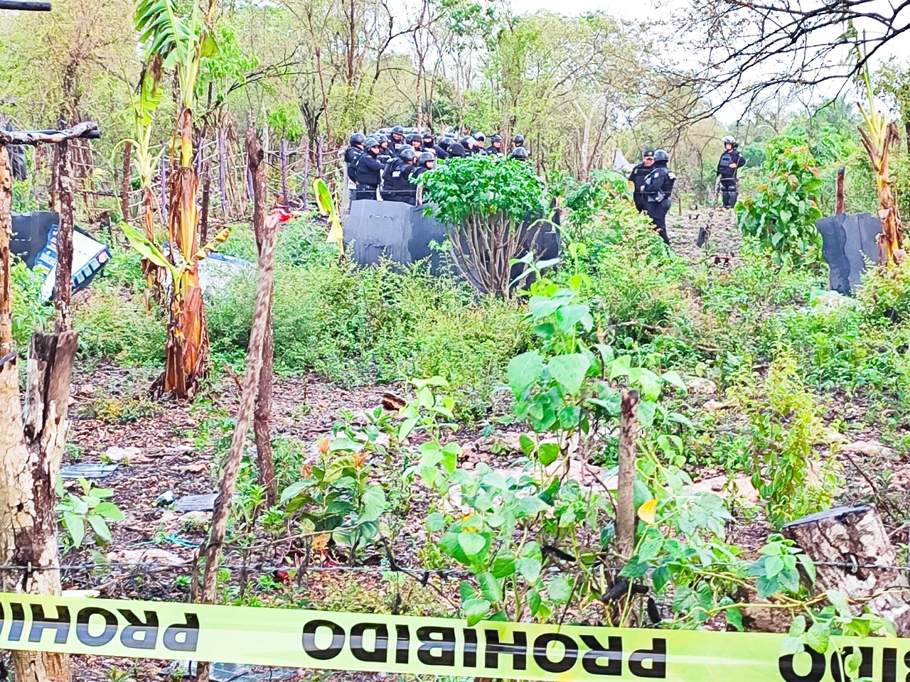 Un centenar de policía participó en las labores de rescate del terreno Un centenar de policía participó en las labores de rescate del terreno