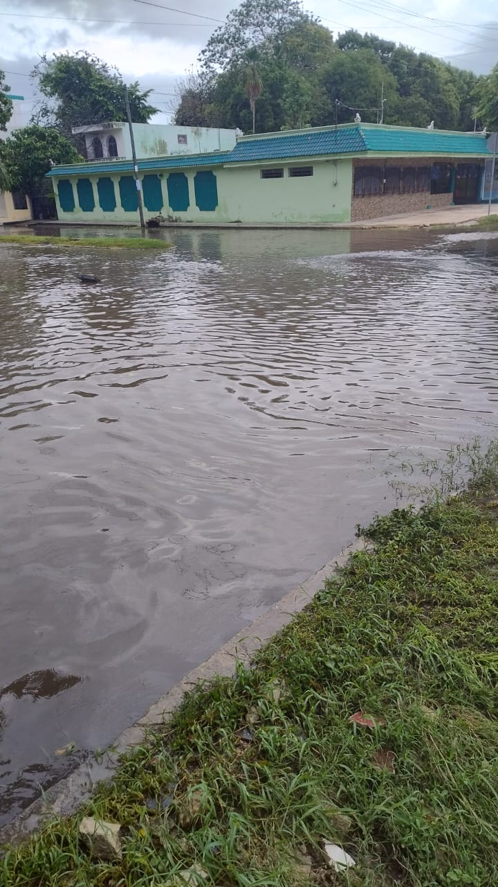 Algunas de las colonias que ya habían sido prácticamente rescatadas del agua, pues vuelven a ser parte nuevamente de estas inundaciones Algunas de las colonias que ya habían sido prácticamente rescatadas del agua, pues vuelven a ser parte nuevamente de estas inundaciones
