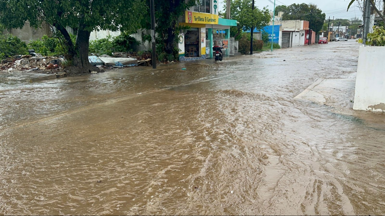 Un "río" la calle 12 en Samulá por lluvias del Ciclón Tropical Uno en Campeche: EN VIVO