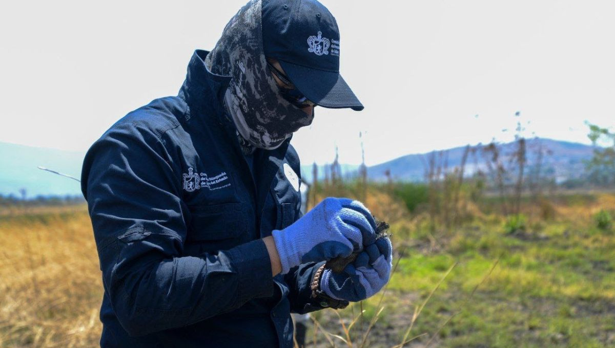 En Jalisco se desplegó impactante operativo de búsqueda para localizar a hermanos Camarena, desaparecidos en 2019 En Jalisco se desplegó impactante operativo de búsqueda para localizar a hermanos Camarena, desaparecidos en 2019