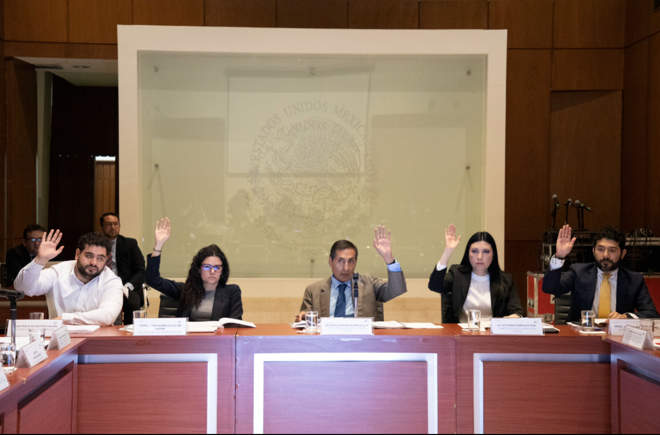 Los informes del Comité Técnico del Fondo de Pensiones para el Bienestar se harán cada trimestre