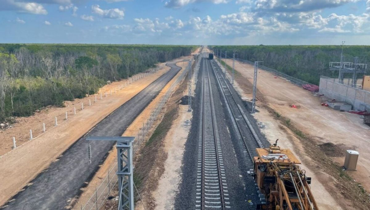 Juez suspende obras del Tramo 5 del Tren Maya; van de Playa del Carmen a Tulum