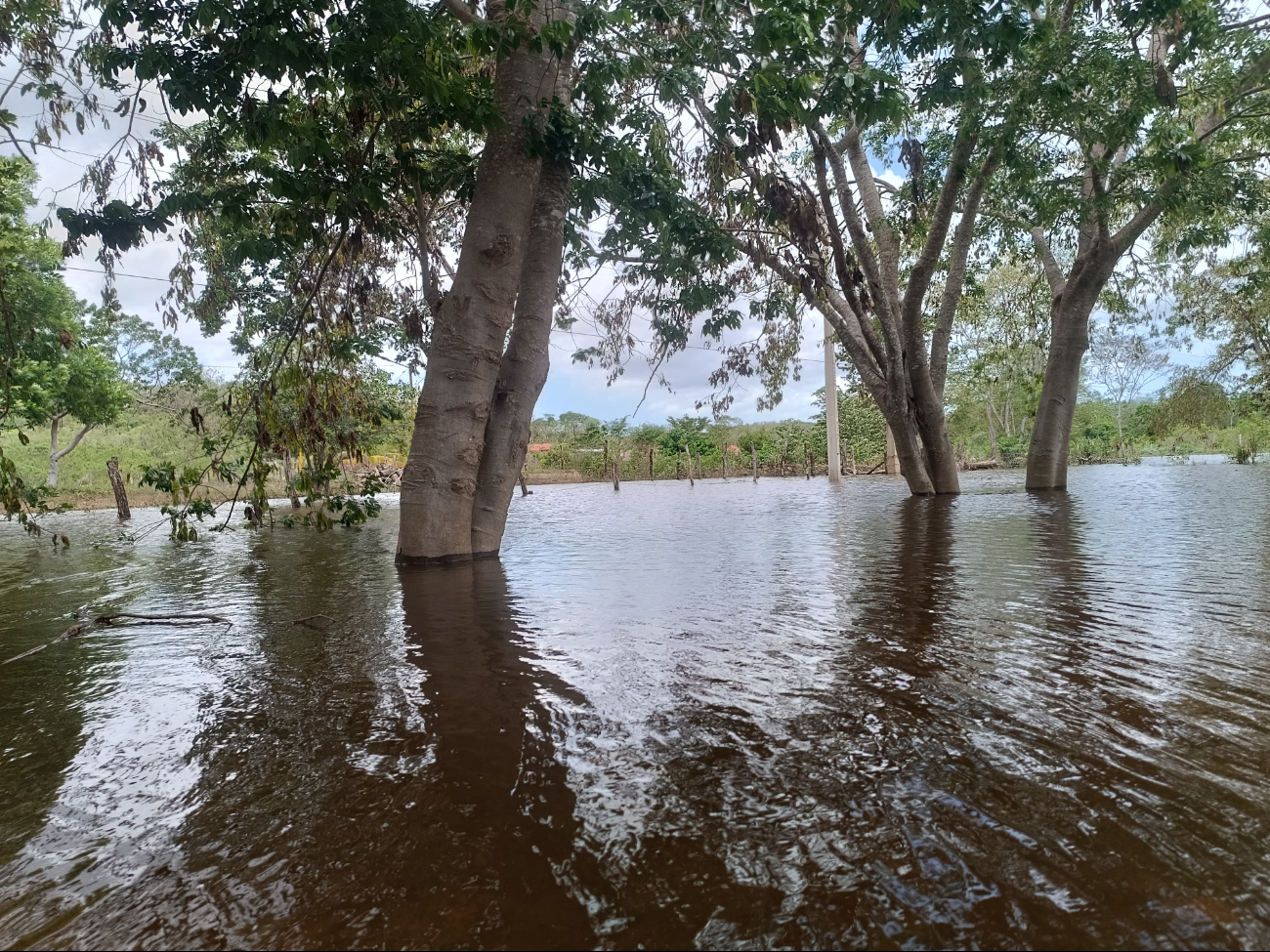 La tormenta tropical Alberto provocó lluvias torrenciales La tormenta tropical Alberto provocó lluvias torrenciales