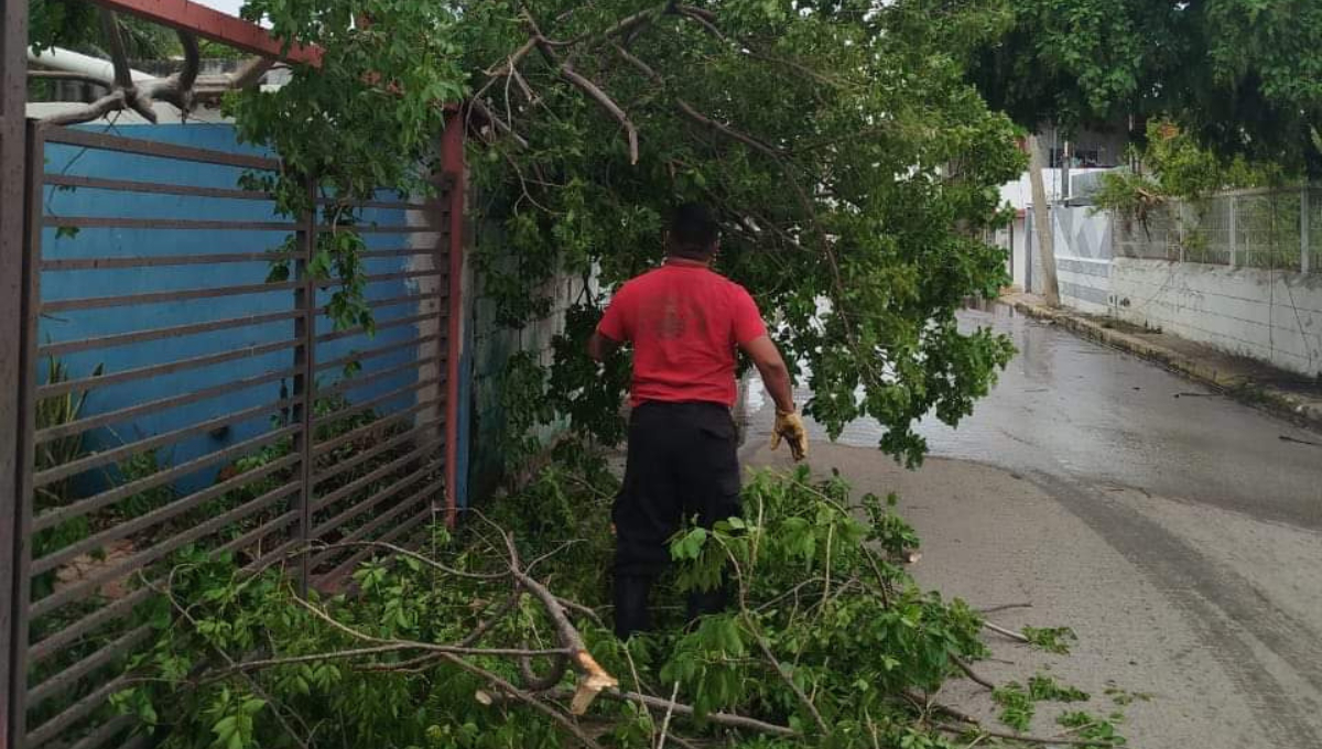 Se contabilizaron 29 reportes de emergencia