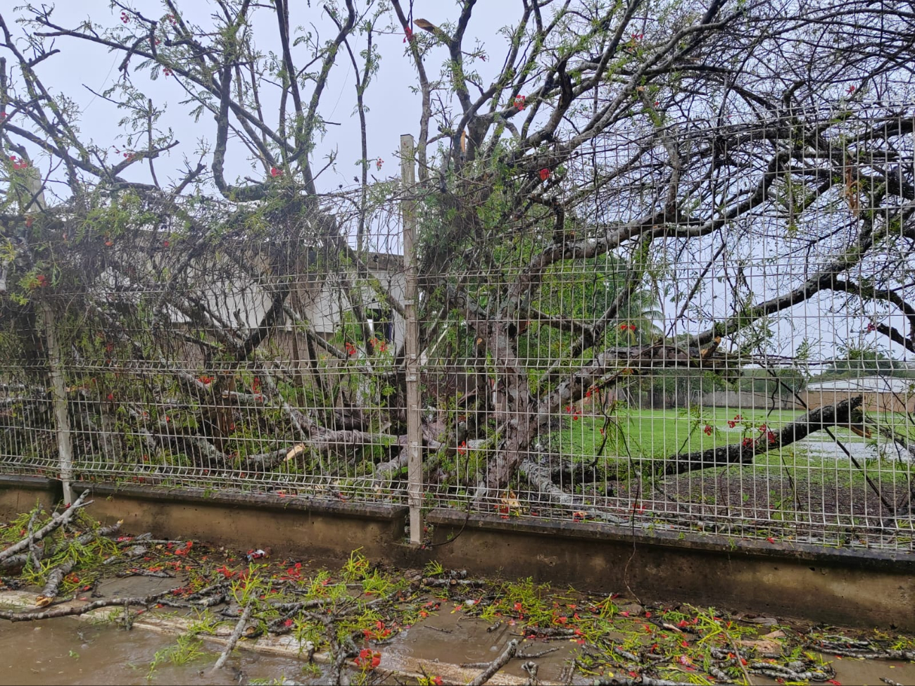 Lluvias afectan a la zona maya de Quintana Roo
