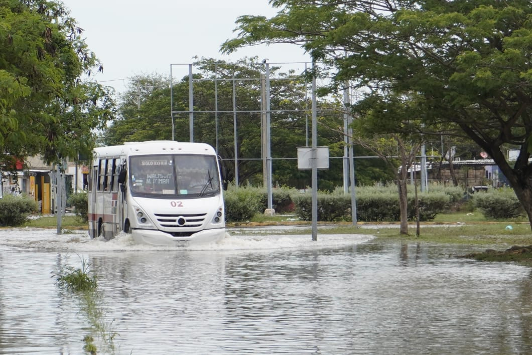 Sedena mantiene trabajos en las colonias y localidades Sedena mantiene trabajos en las colonias y localidades