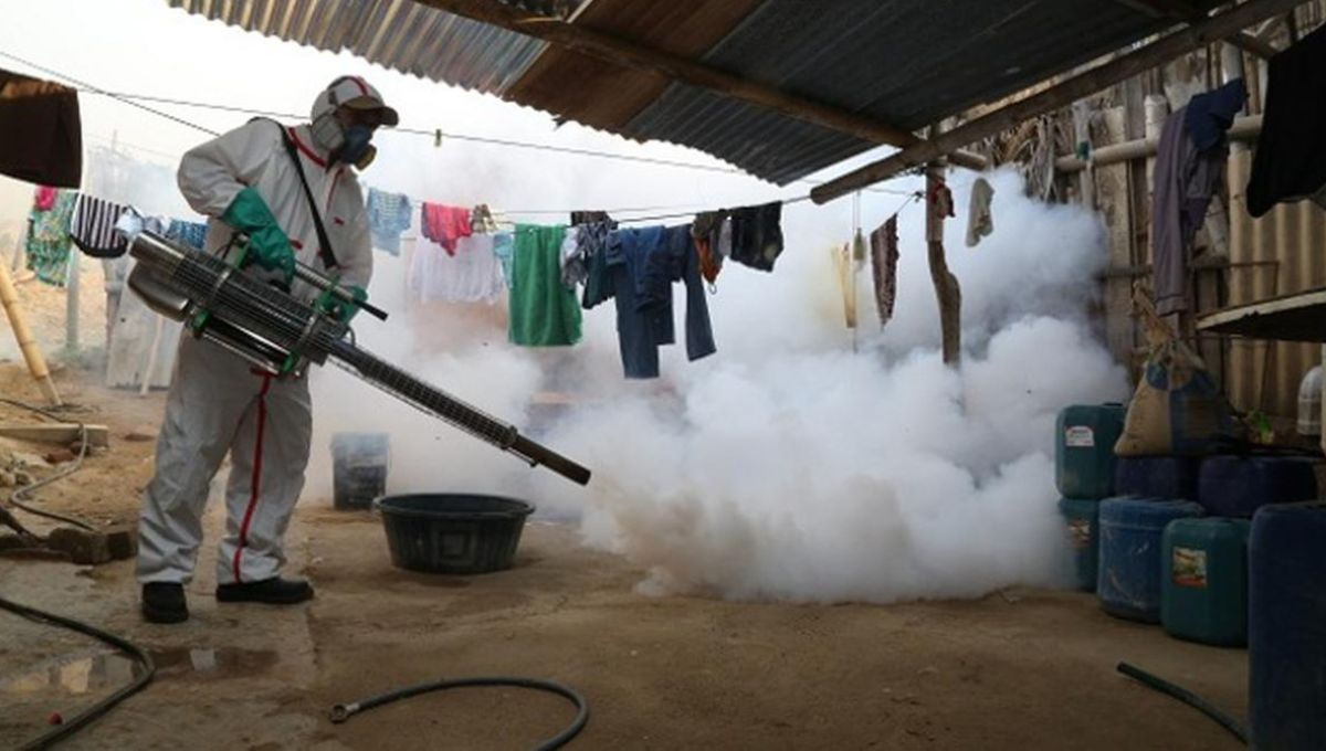 Casos de dengue en México aumentan 385% y muertes se quintuplican