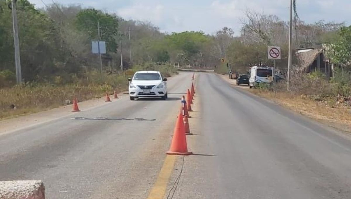 Los albañiles fueron arrestados durante un retén en José María Morelos Los albañiles fueron arrestados durante un retén en José María Morelos