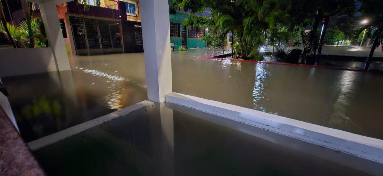 Peces invaden calles de Chetumal por las inundaciones: VIDEO