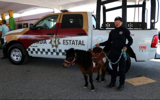 Policía Estatal de Tamaulipas brinda sesiones de equinoterapia a menores con discapacidad Policía Estatal de Tamaulipas brinda sesiones de equinoterapia a menores con discapacidad