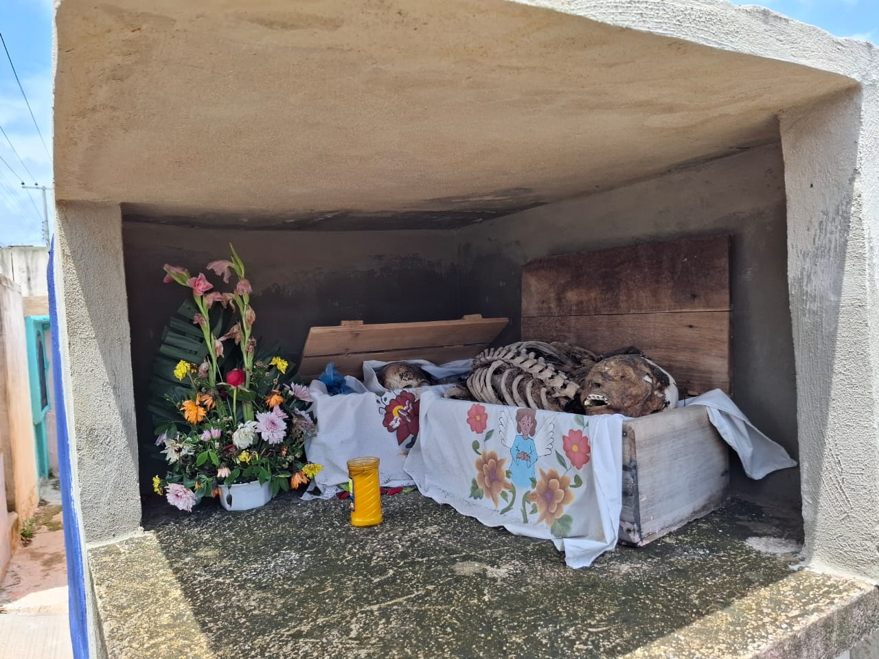 El principal camposanto pomuchense carece de atención y temen posibles brotes de dengue El principal camposanto pomuchense carece de atención y temen posibles brotes de dengue