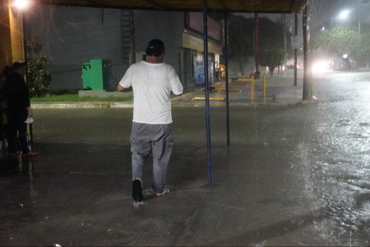 Inundaciones incrementan aparición de hongos Inundaciones incrementan aparición de hongos