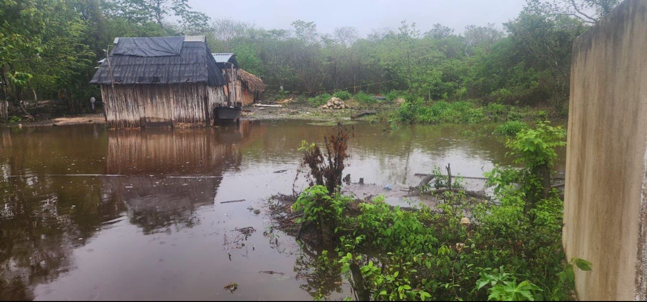 La zona también es afectada por escurrimientos de las partes altas de Quintana Roo La zona también es afectada por escurrimientos de las partes altas de Quintana Roo