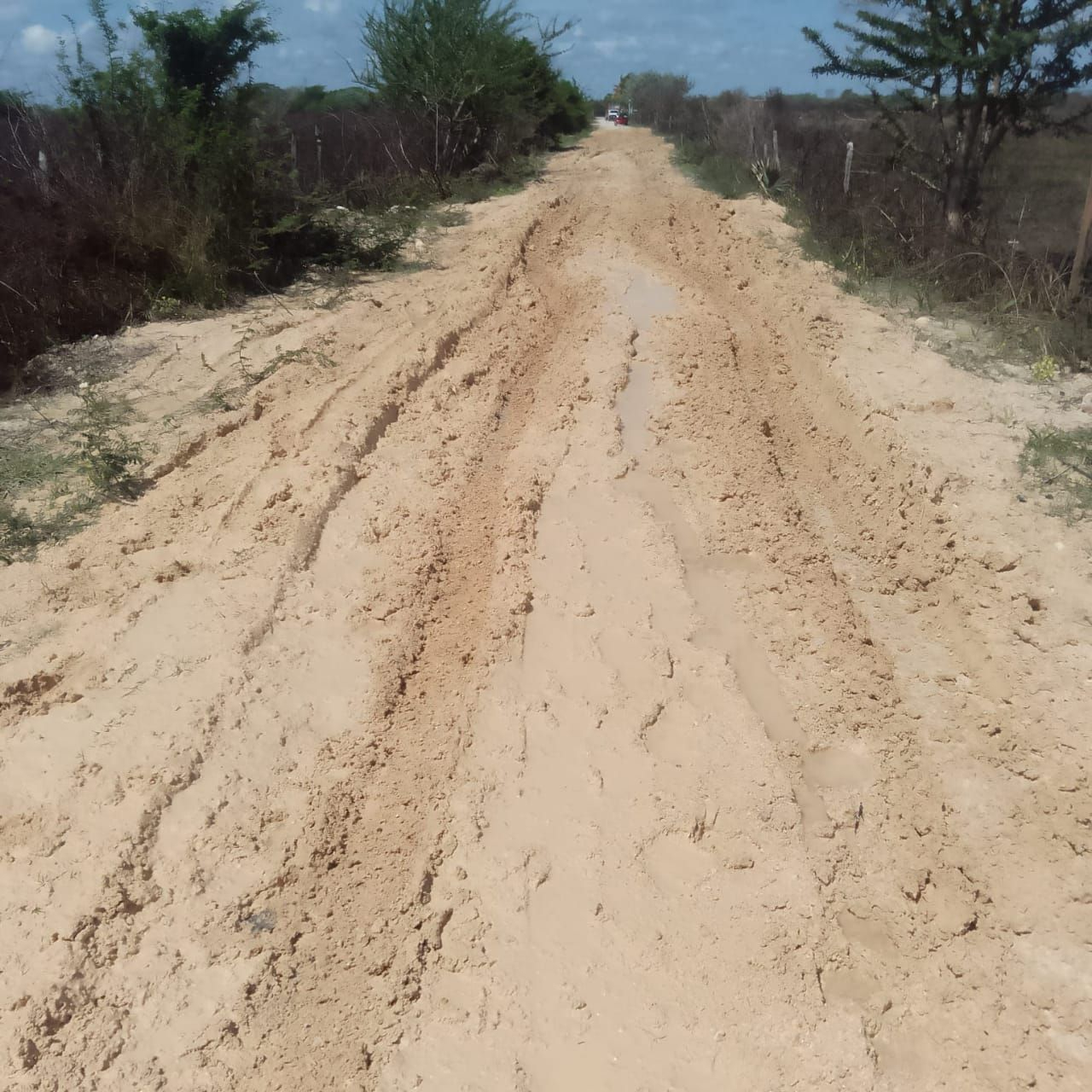 Ganaderos de Sabancuy piden mejores caminos; lluvias entorpece acceso a sus terrenos