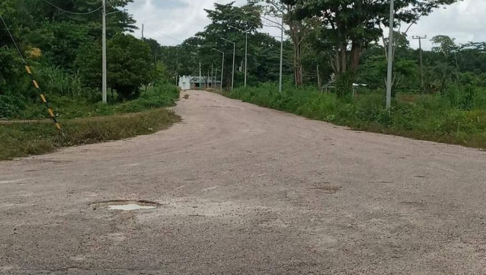 Balea a perro de su vecina en venganza por matar una gallina en Champotón