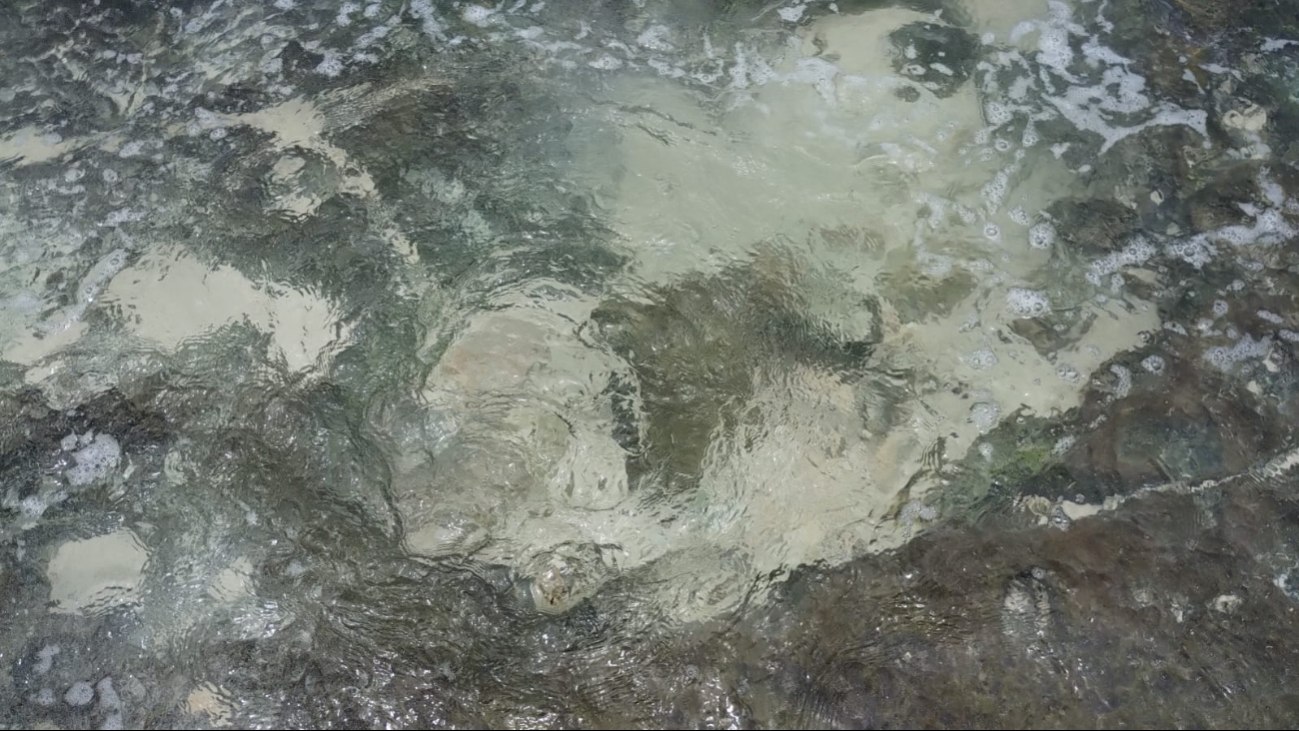 Los ojos de agua son habituales en estas épocas del año en Solidaridad Los ojos de agua son habituales en estas épocas del año en Solidaridad