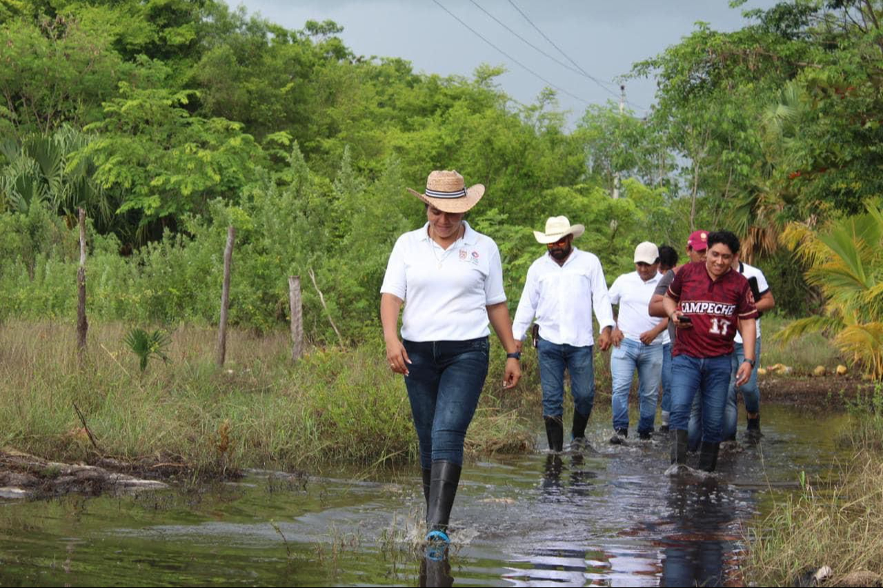 Comunidades rurales como Chiná, Tikinmul y Chemblás están entre las más vulnerables. Comunidades rurales como Chiná, Tikinmul y Chemblás están entre las más vulnerables.