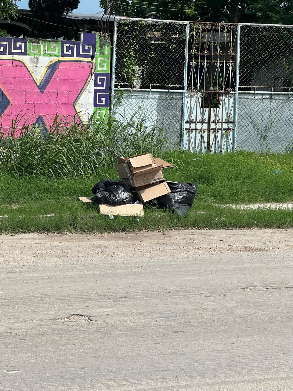 El conductor primero dio varias vueltas antes de tirar su basura El conductor primero dio varias vueltas antes de tirar su basura
