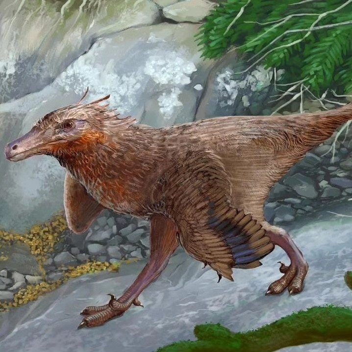 El Diuqin lechiguanae permanece en investigación El Diuqin lechiguanae permanece en investigación