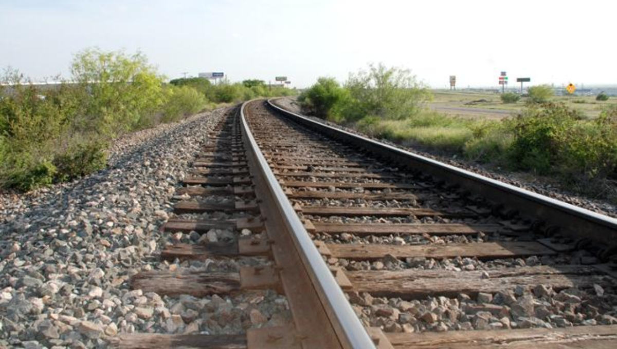 El hombre perdió el brazo tras caer del tren en movimiento El hombre perdió el brazo tras caer del tren en movimiento