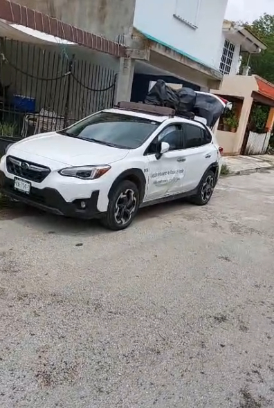 El incidente se suscitó en calles del fraccionamiento Palmas II El incidente se suscitó en calles del fraccionamiento Palmas II