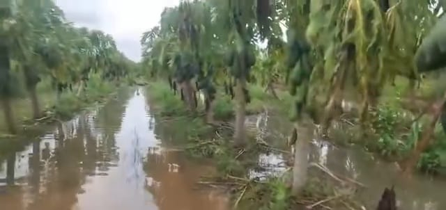 Más de 40 familias afectadas por la inundación Más de 40 familias afectadas por la inundación