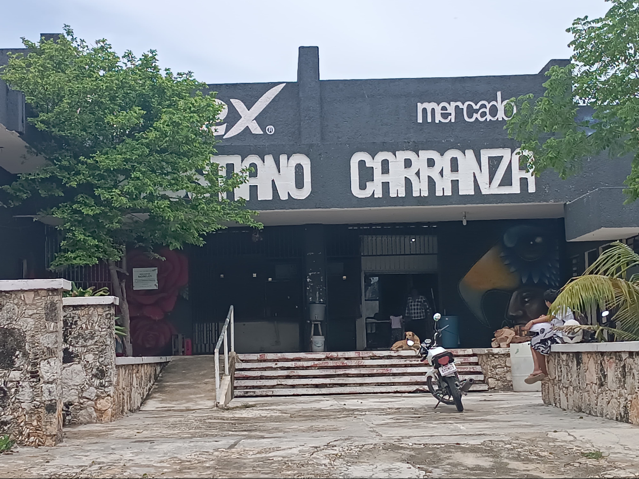 Nulo suministro de energía eléctrica y humedad se reportaron tras el paso de tormenta tropical Nulo suministro de energía eléctrica y humedad se reportaron tras el paso de tormenta tropical