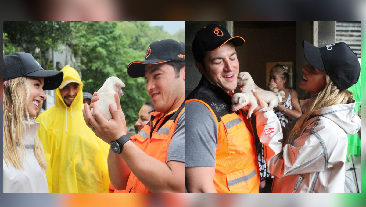PETA Latino envía regalo a "Alberto" perrito adoptado por  Samuel García y Mariana Rodríguez  