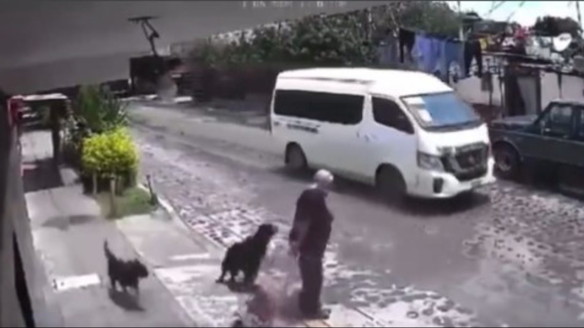 Familia de abuelita atacada por jauría en Querétaro exige justicia: VIDEO