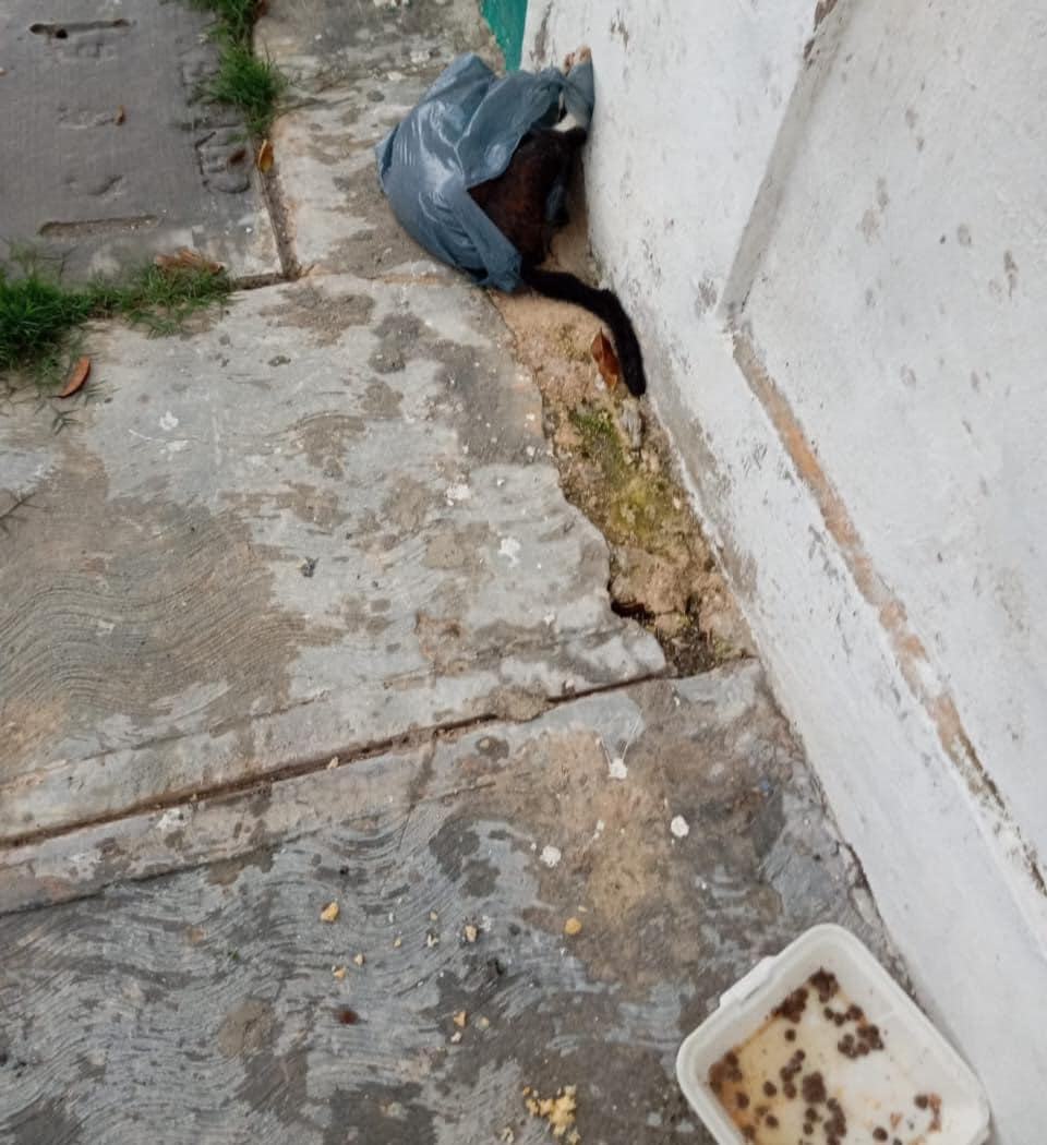 Temen de un psicópata Temen de un psicópata