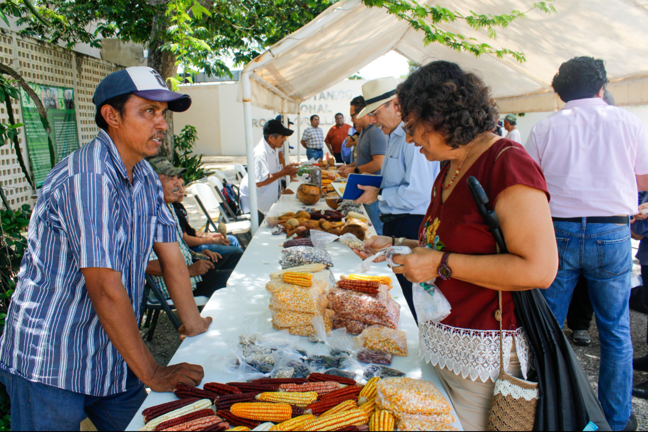 Destacaron la importancia de que la gente conozca los productos de la milpa Destacaron la importancia de que la gente conozca los productos de la milpa