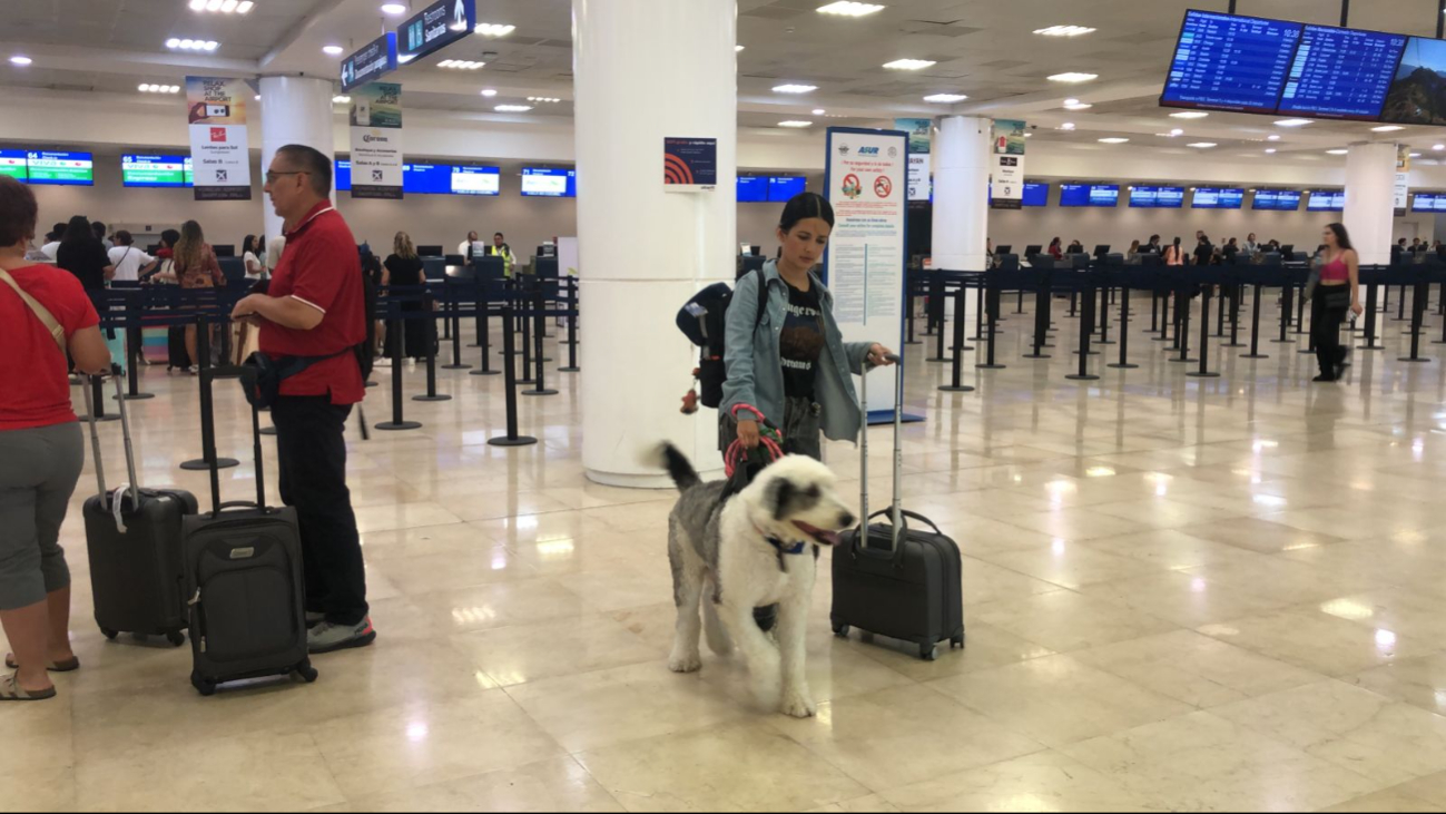 La afluencia de pasajeros aumenta por el fin de semana La afluencia de pasajeros aumenta por el fin de semana