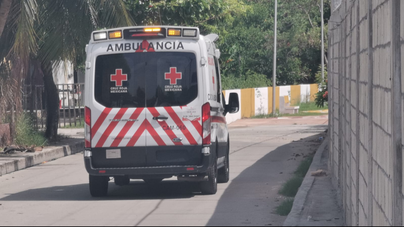 Pedro padece de meningitis, lo que contribuye a episodios de pánico, depresión y ansiedad Pedro padece de meningitis, lo que contribuye a episodios de pánico, depresión y ansiedad