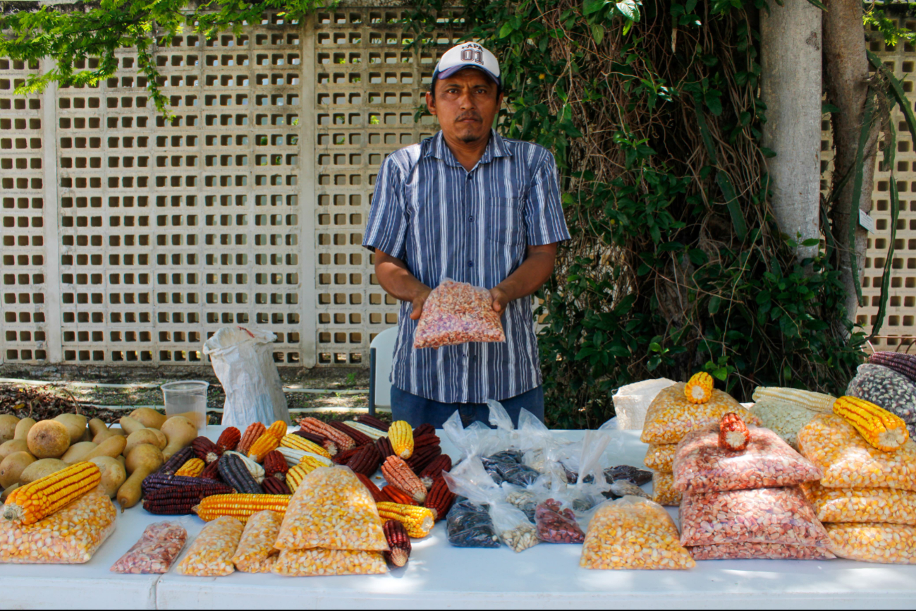 Productores ofrecieron diferentes semillas Productores ofrecieron diferentes semillas