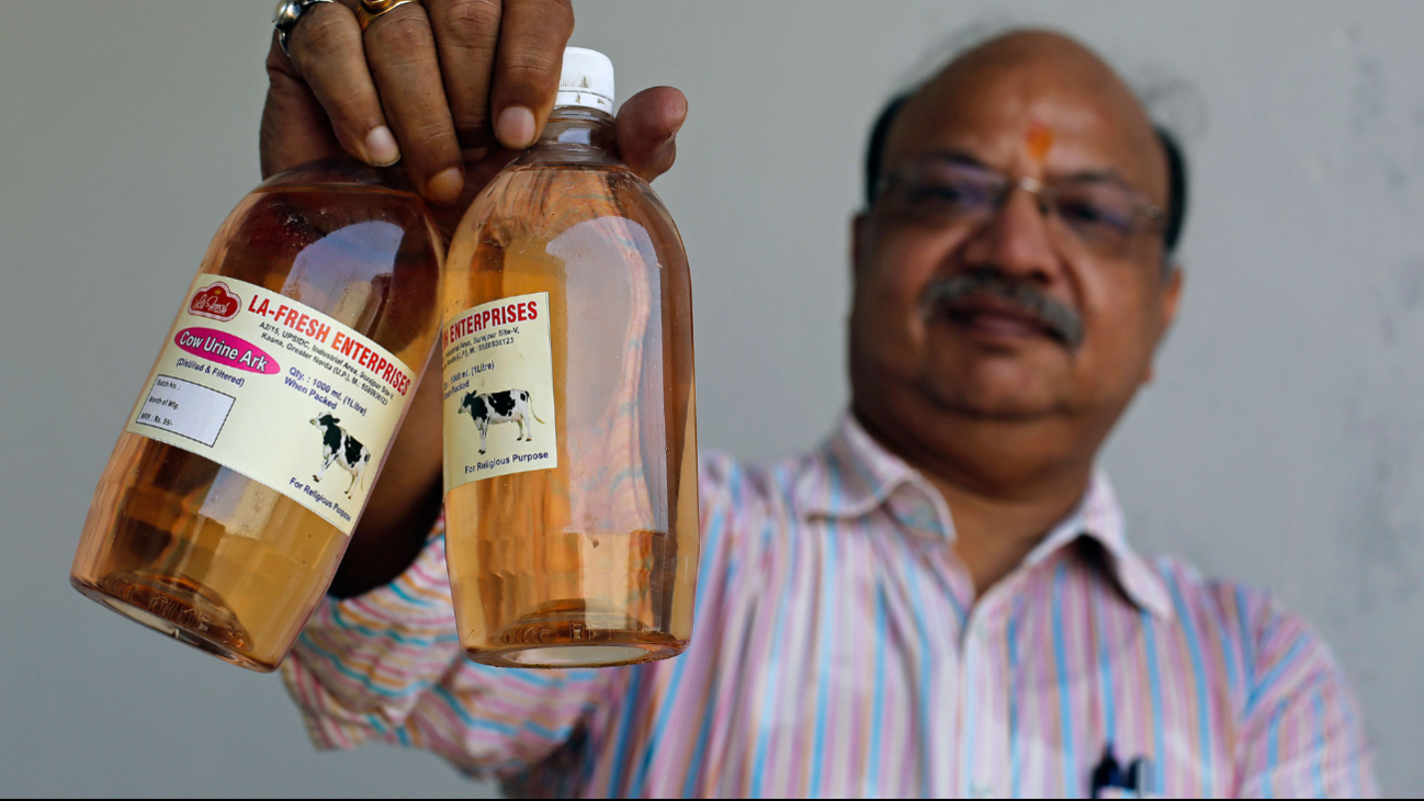 En India venden orina de vaca embotellada como producto medicinal En India venden orina de vaca embotellada como producto medicinal