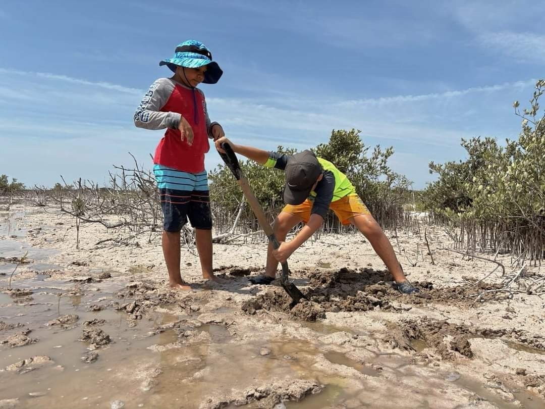El tramo que va de Chicxulub a Telchac sufre una invasión de 10 kilómetros El tramo que va de Chicxulub a Telchac sufre una invasión de 10 kilómetros