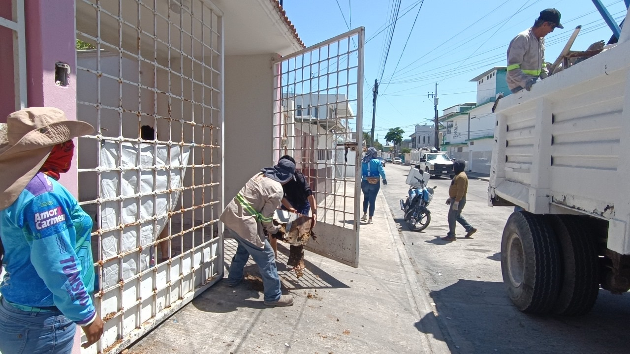El mercado se hace competitivo si se acatan las leyes, establece el dirigente gremial. El mercado se hace competitivo si se acatan las leyes, establece el dirigente gremial.